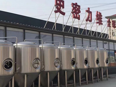 北仑精酿啤酒设备厂—如何判断精酿啤酒设备的密封件需要更换？